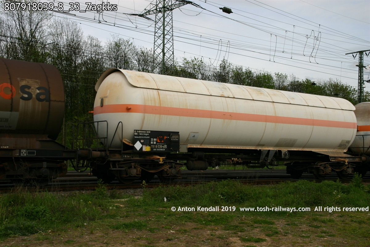 807918039-8_33_Zagkks.jpg
